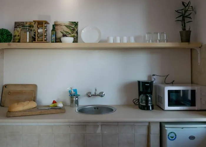 Cherry Garden * 스베티 블라스